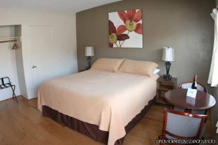 Palms Cambria