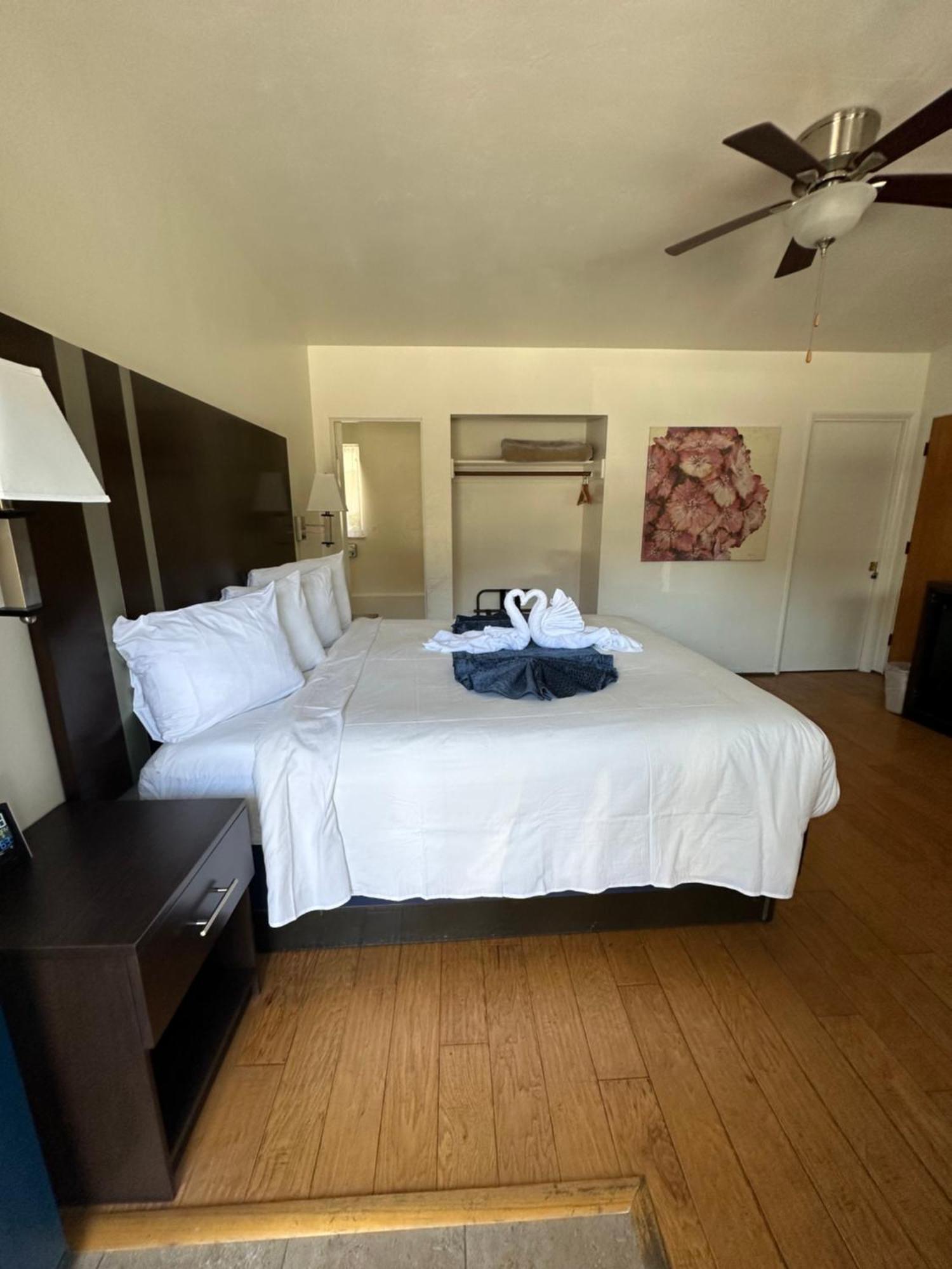 Motel Palms 2*