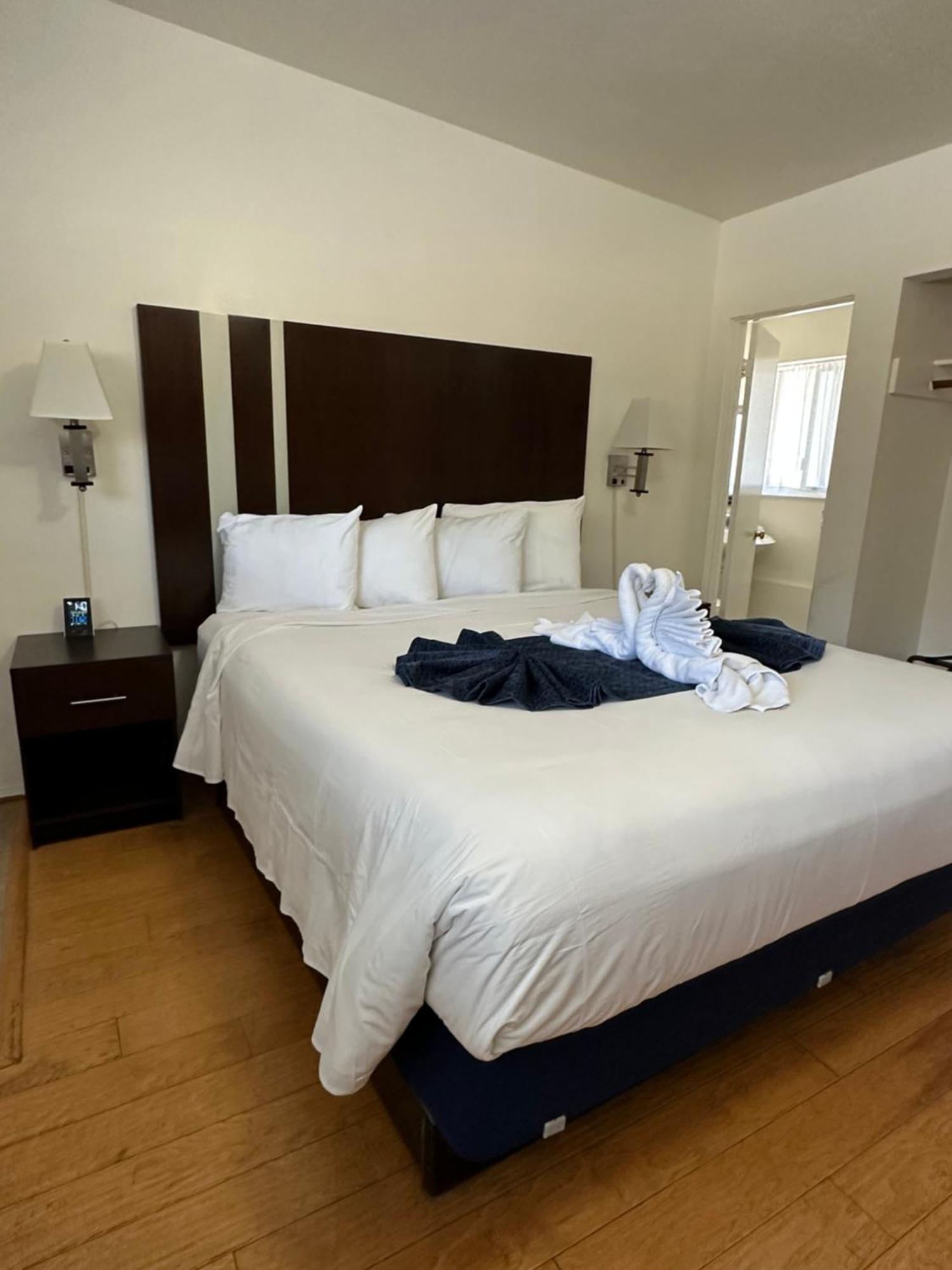 Motel Palms