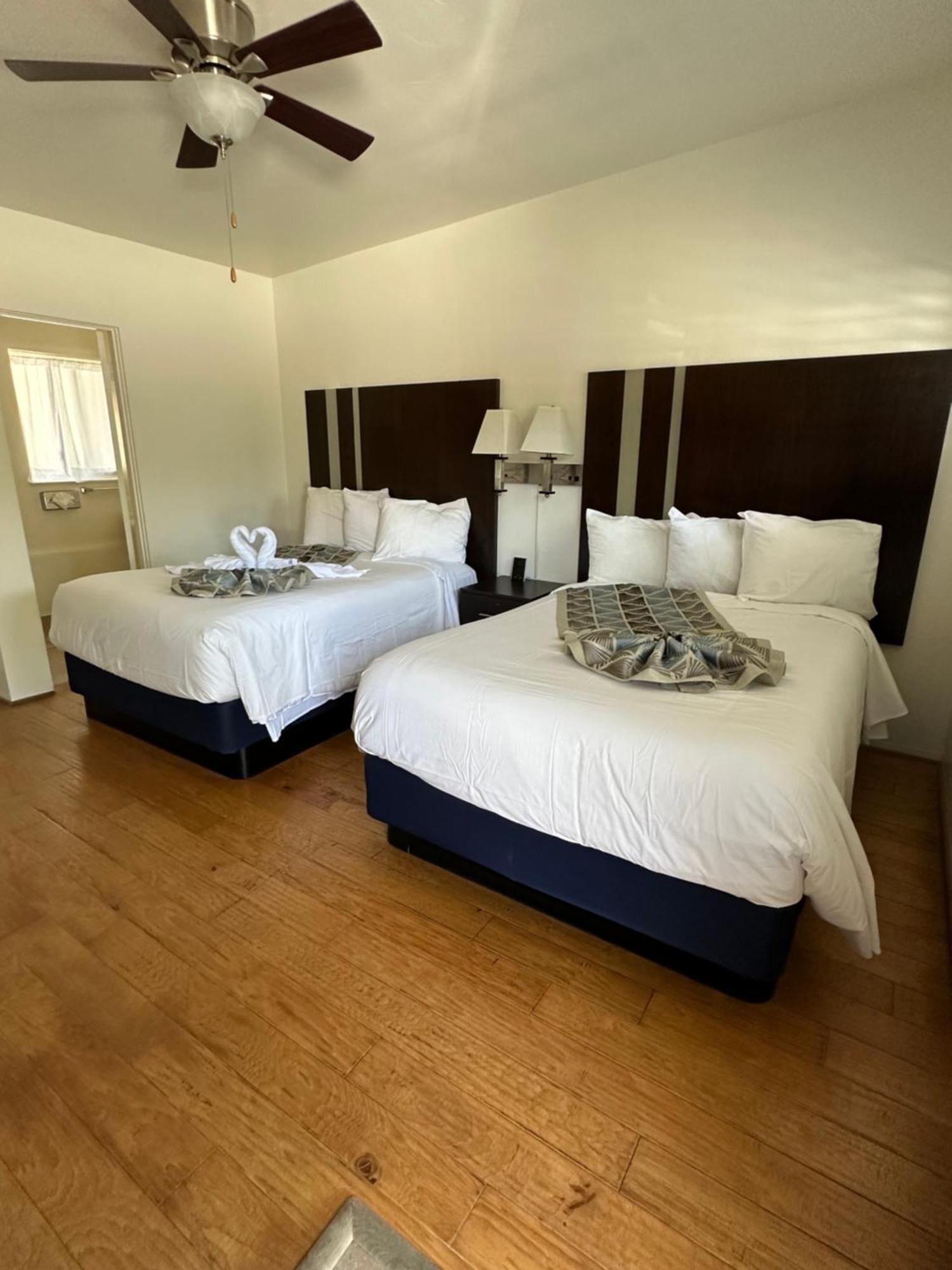 Palms Cambria