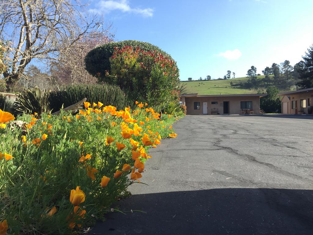 Motel Palms Cambria
