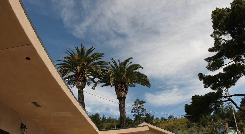 Palms Motel 2*